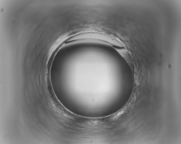 X0000059850152200511181547