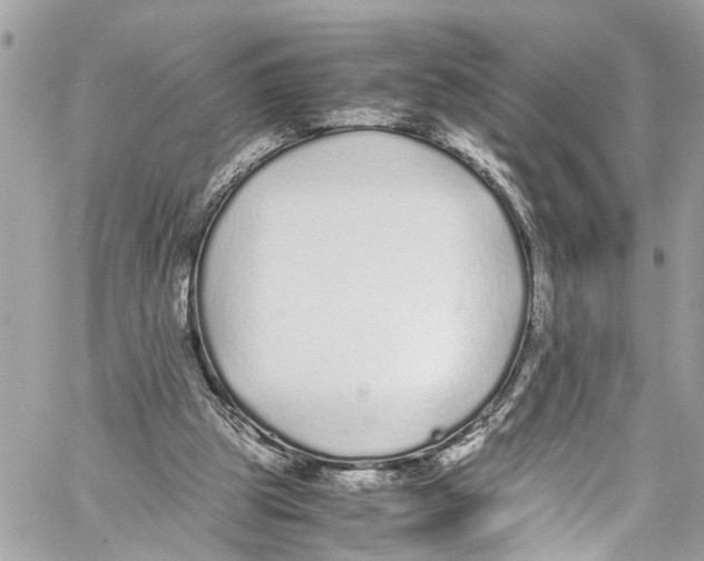 X0000059850153200511181547