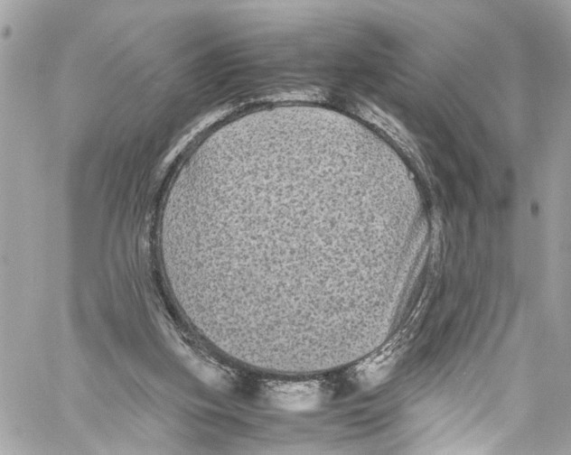 X0000059850155200511181547