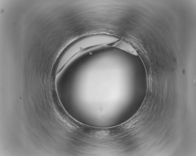 X0000059850156200511181547