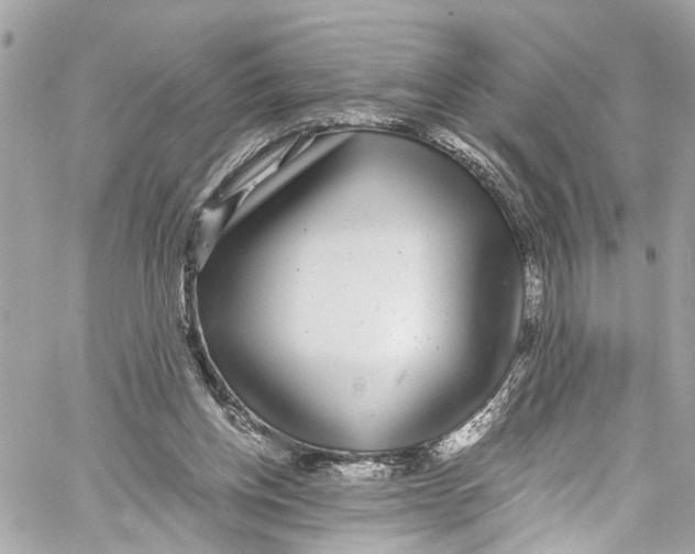 X0000059850158200511181547