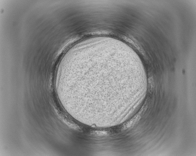 X0000059850159200511181547