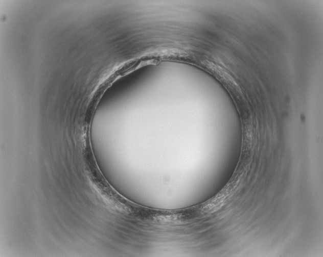 X0000059850160200511181547