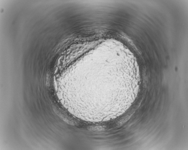 X0000059850161200511181547