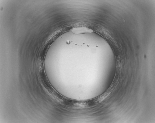 X0000059850164200511181547