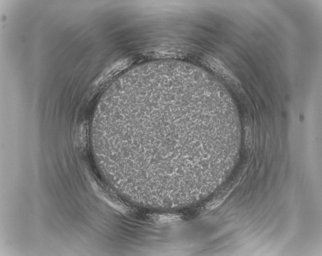 X0000059850165200511181547