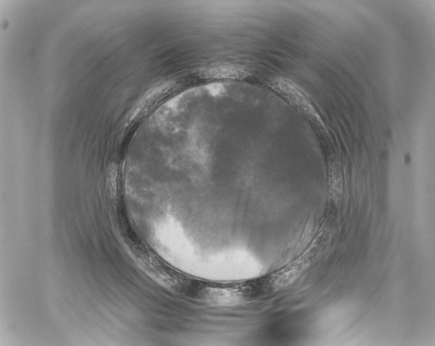 X0000059850167200511181547