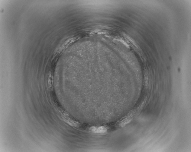 X0000059850169200511181547