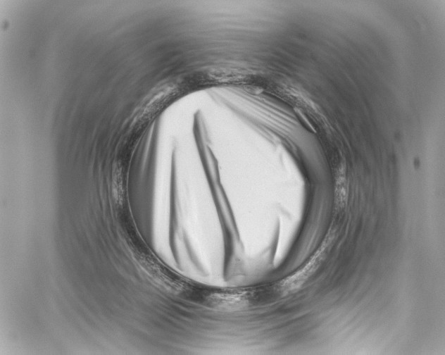 X0000059850170200511181547