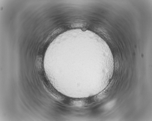 X0000059850171200511181547