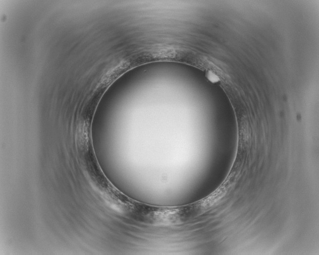 X0000059850172200511181547