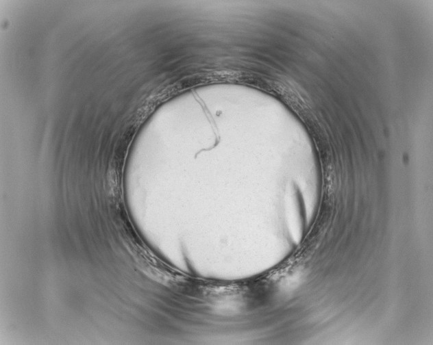 X0000059850173200511181547