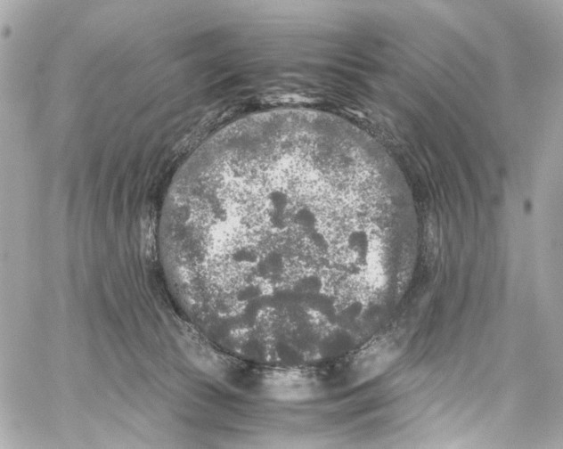 X0000059850177200511181547