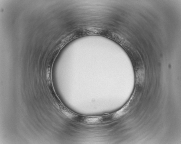 X0000059850178200511181547