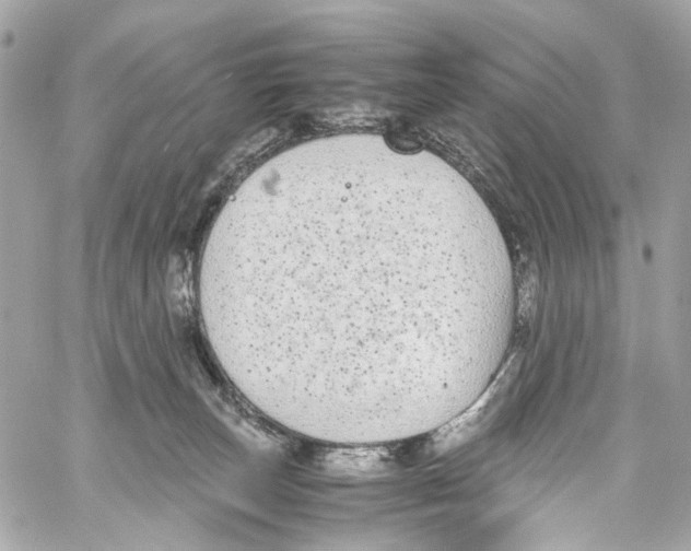 X0000059850179200511181547