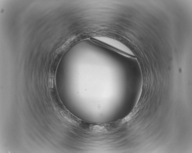 X0000059850180200511181547