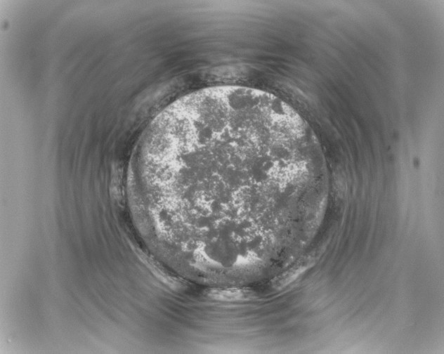 X0000059850181200511181547