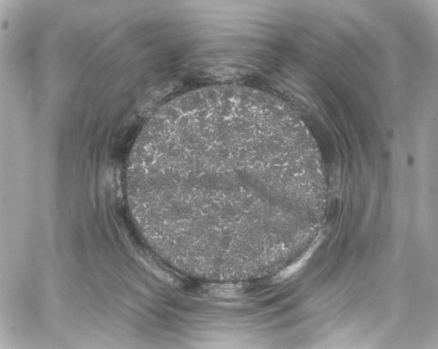 X0000059850182200511181547