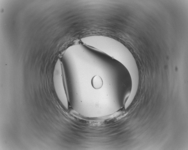 X0000059850185200511181547