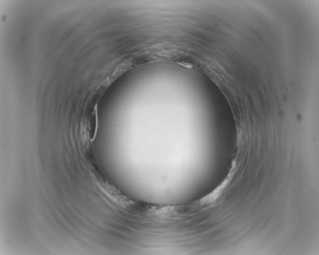 X0000059850186200511181547