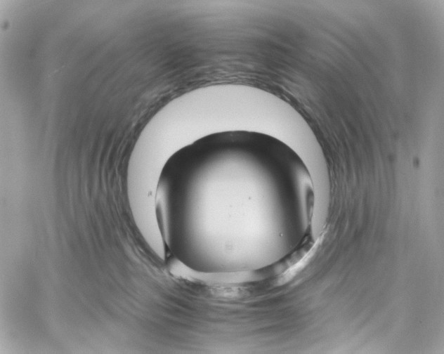 X0000059850187200511181548