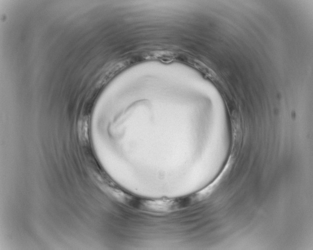 X0000059850191200511181548