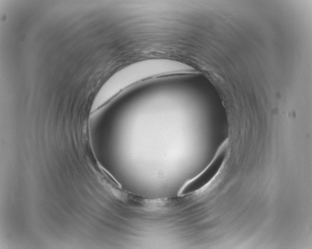 X0000059850192200511181548