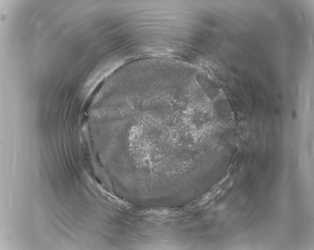 X0000059850194200511181547