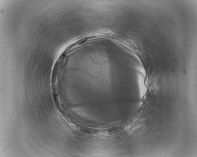 X0000059850196200511181547