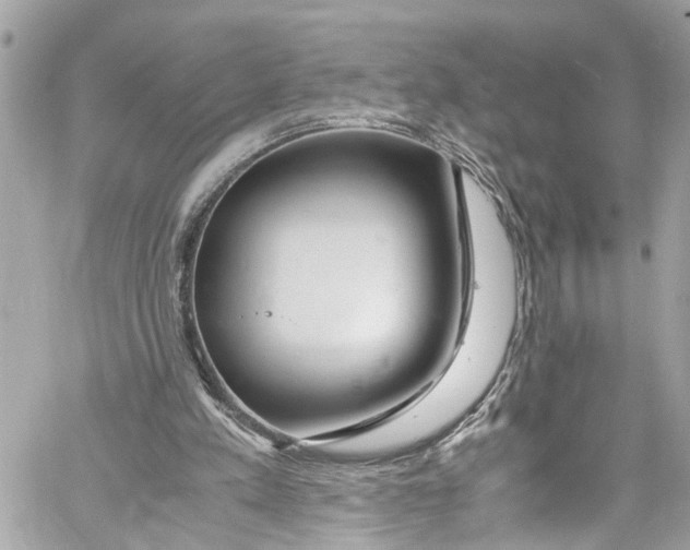 X0000059850197200511181547