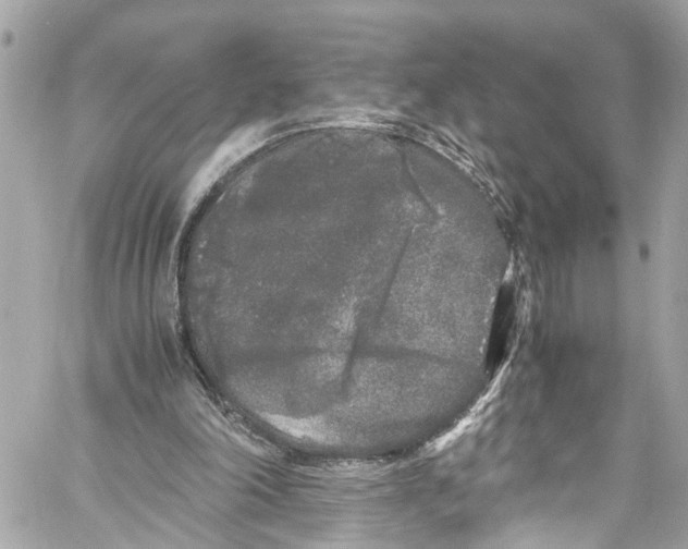 X0000059850198200511181547