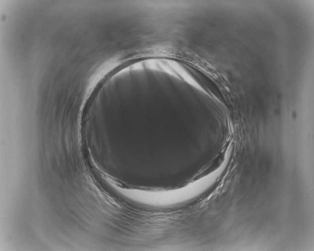 X0000059850200200511181547