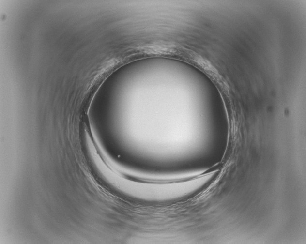 X0000059850201200511181547