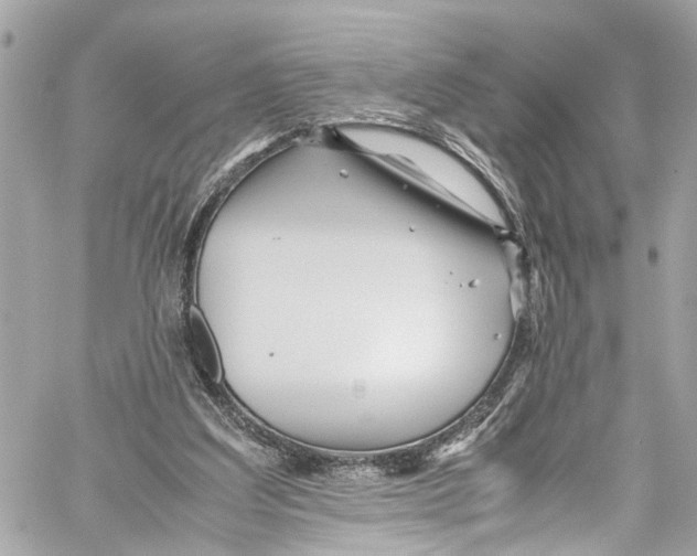 X0000059850203200511181547