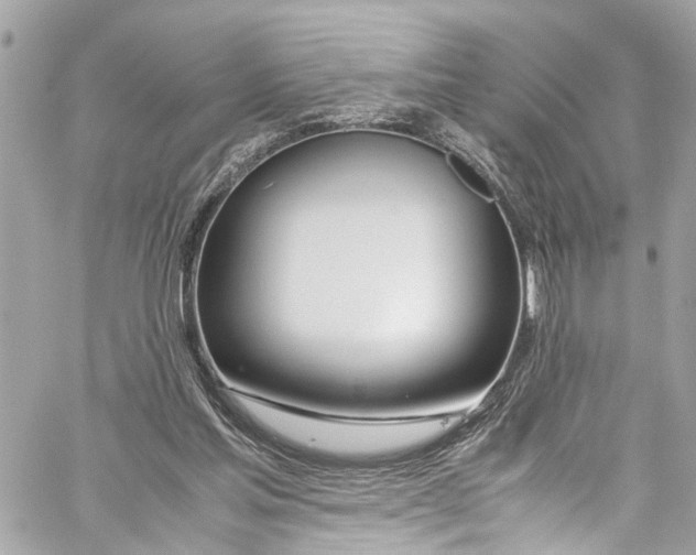 X0000059850205200511181547