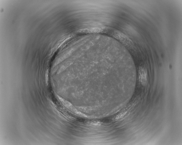 X0000059850206200511181547