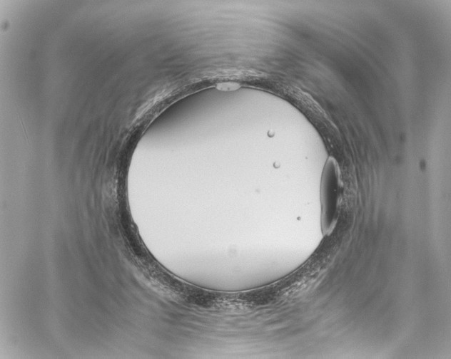 X0000059850207200511181547