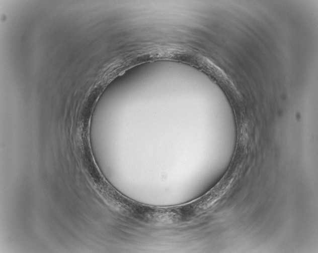 X0000059850209200511181547