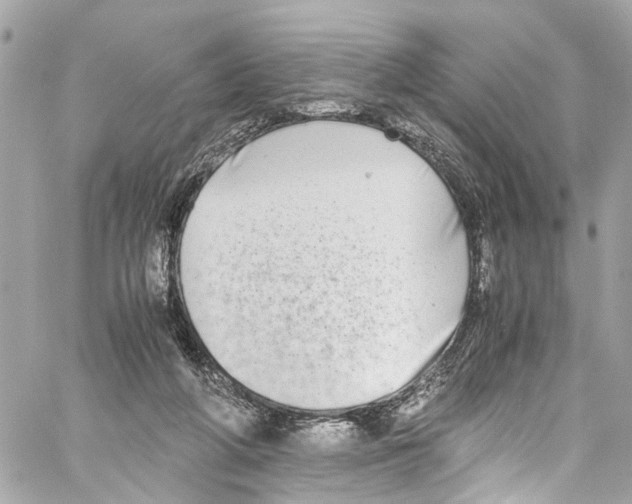 X0000059850210200511181547