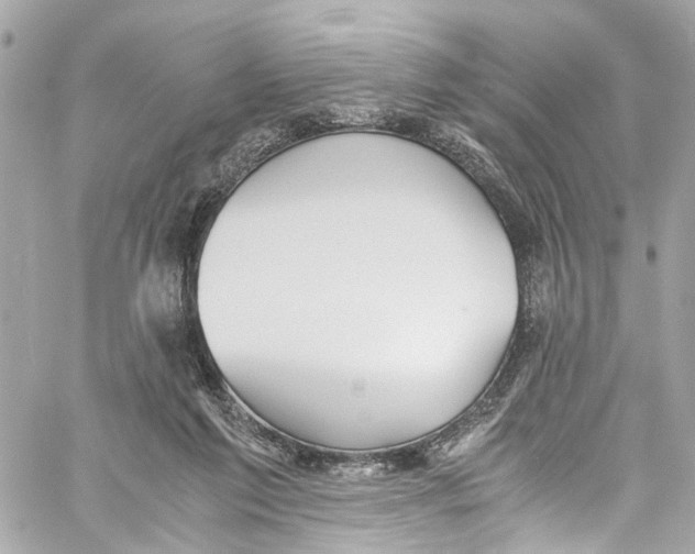 X0000059850213200511181546