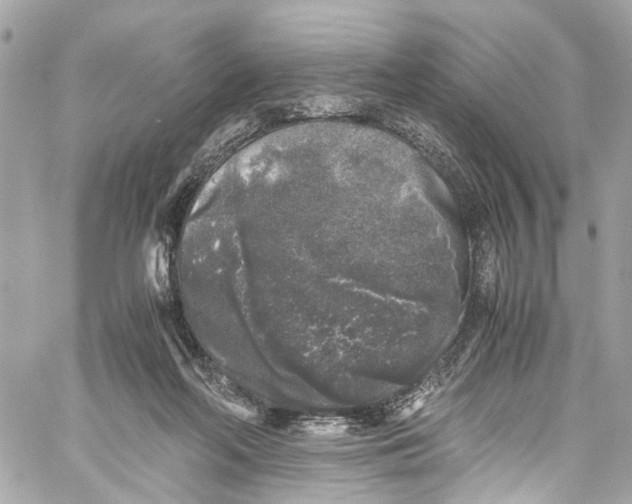 X0000059850214200511181546