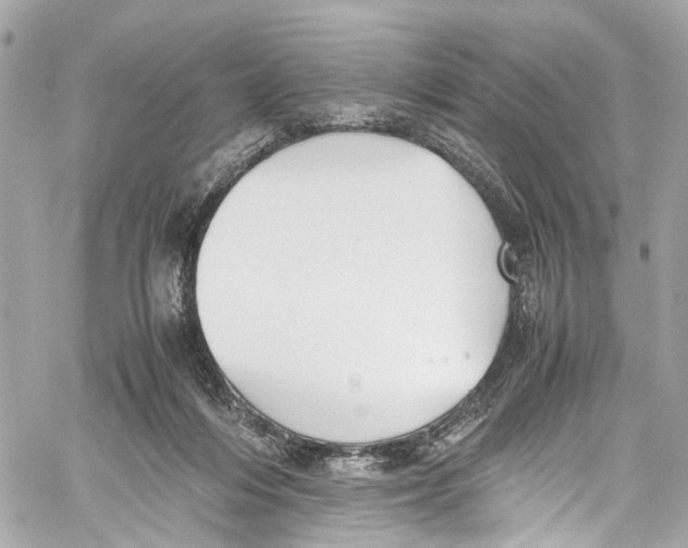 X0000059850216200511181546