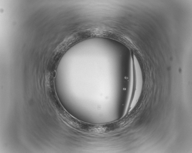 X0000059850217200511181546