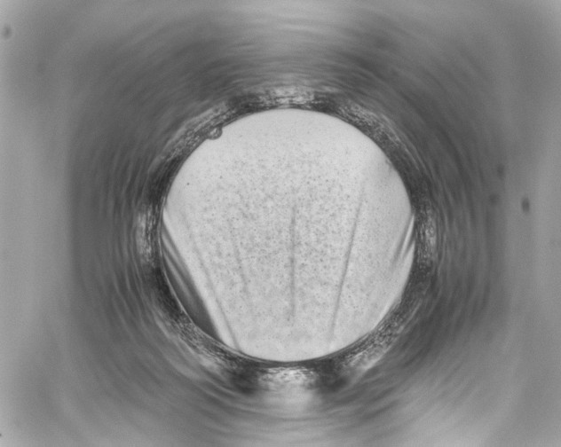 X0000059850218200511181546