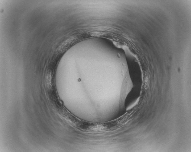 X0000059850219200511181546