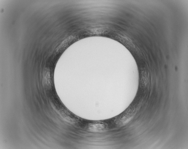 X0000059850220200511181546