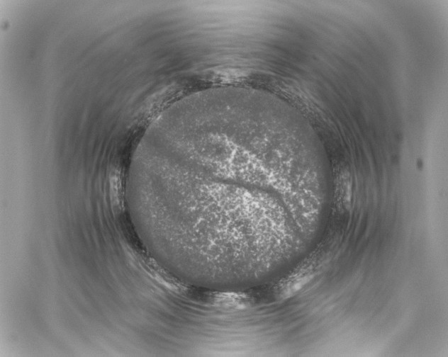 X0000059850222200511181546