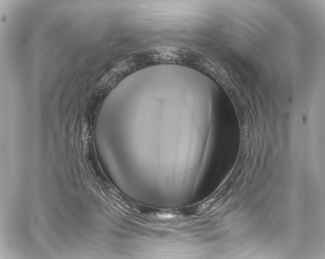 X0000059850223200511181546