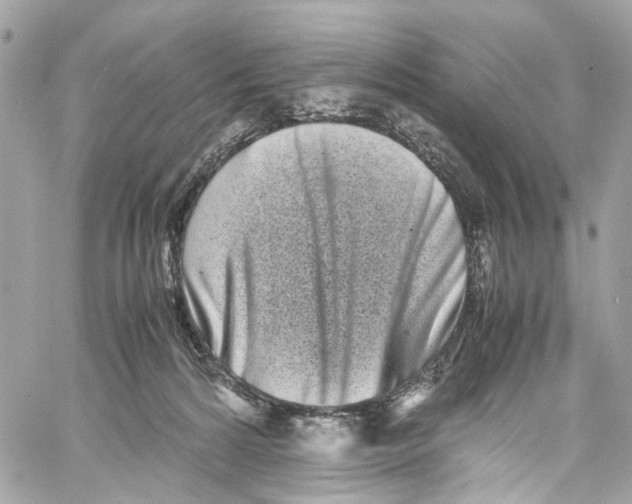 X0000059850224200511181546