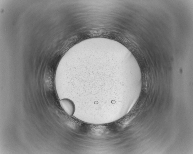 X0000059850226200511181546